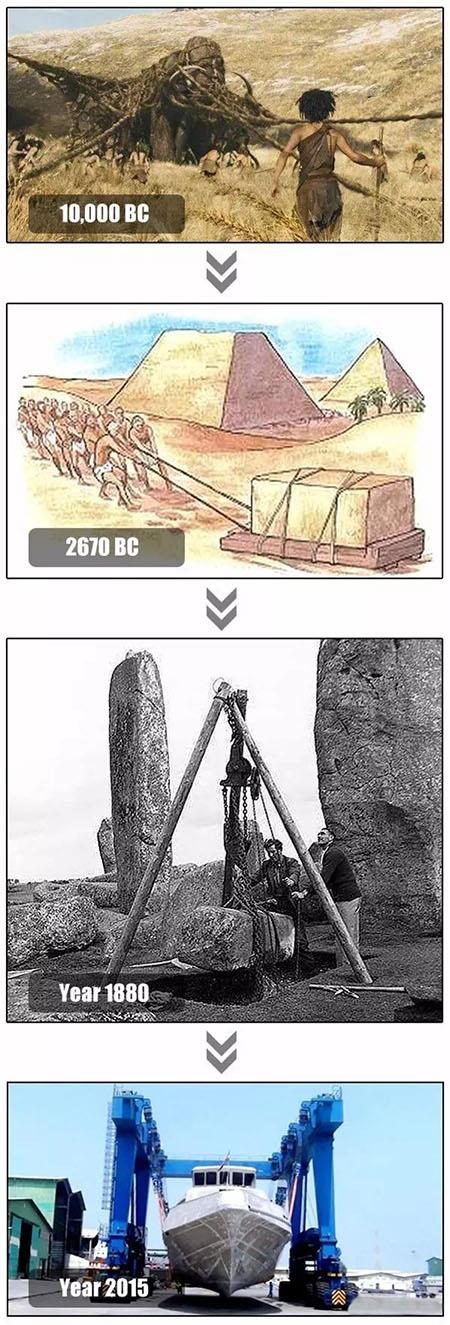 Por que os seres humanos precisam de Crane.jpg Why Human Beings Need Crane.jpg